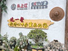 -头上红煨盐鸡乡村食府