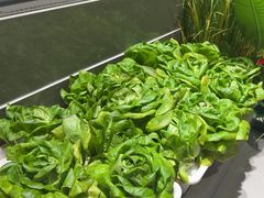 -九孔·筒骨莲藕汤锅(大明宫万达店)