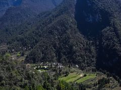 -武陵山森林公园