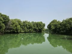 -长白岛森林公园