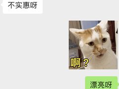 -MIU MIU(上海商城店)