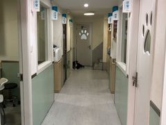 -乐派堂宠物医院·猫友好· 心脏科(东街店)