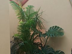 -LANN I 蘭·泰式古法按摩(长宁来福士东八区店)