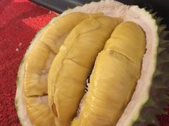 -都念榴莲·城市榴莲