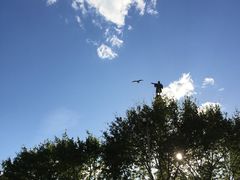 -哥伦布纪念碑