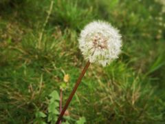 -云漫湖生态度假公园