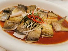 招牌蒸无骨大鳊鱼-顺味凤城(九六广场店)