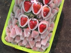 -双福水果批发市场