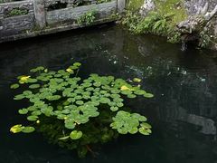 -灵顺寺