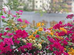 -佛山市中医院(院本部)