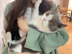 -猫爪屋猫咖(乐汇城店)