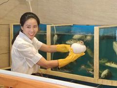 -天正河鲀·河豚亭(大连店)