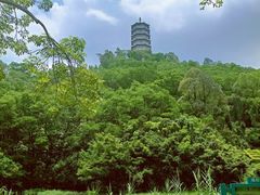 -深圳国际园林花卉博览园