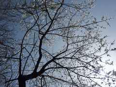 -洛阳白云山景区