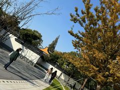 -龙华素斋(龙华路店)