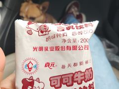 -水丰路鸡蛋饼