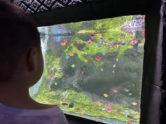 -苏州海洋馆