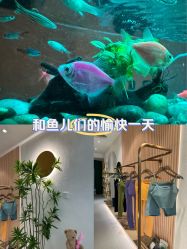 -水沐莲清瑜伽·普拉提