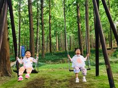 -日照海滨国家森林公园