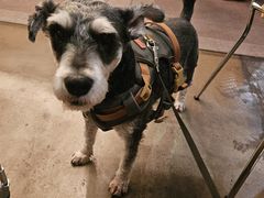 -the rug 飞毯 (朝阳公园店)