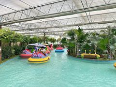 -南宫五洲植物乐园