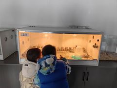 -锦园餐厅(九龙湖开元度假村店)