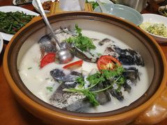 -全乐鱼馆·淳牌有机鱼直营店