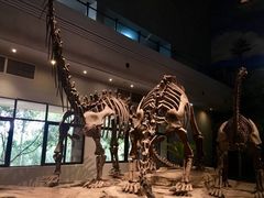 -自贡恐龙博物馆