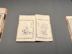 -四川大学博物馆