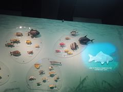 -中国湿地博物馆