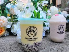 莓果粒粒-我是酸奶君(壹方城店)