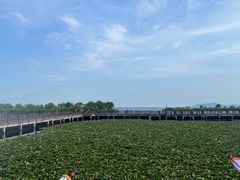 -新木器时代餐厅(太湖新天地店)