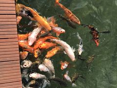 -云南民族大观园