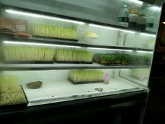-大龙老火锅·总店(龙头寺店)
