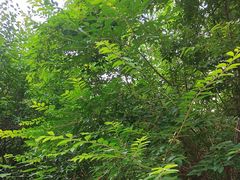 -天朝元辅-徐州民俗博物馆