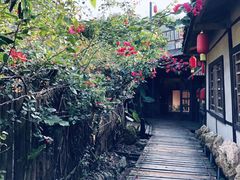 -天门沟九州驿站树上汤泉