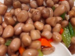 -松花湖水饺(新濠天地店)