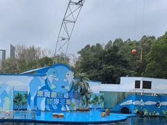 -深圳野生动物园