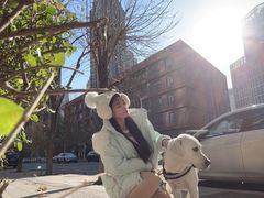 -天宠宠物医院24小时·急重症诊疗中心·全科·腔镜特色(和平分院)