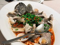 -码头见·潮汕菜(领展中心城店)