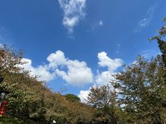 -苏州上方山国家森林公园