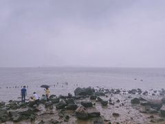 -深圳湾公园(南山区)