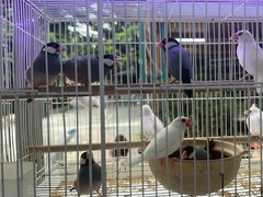 -宠爱我(南山店)