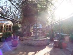 -The Grounds of Alexandria