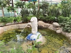 -南宫五洲植物乐园