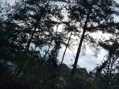 -云顶高原