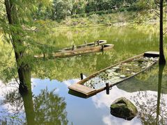 -深圳仙湖植物园