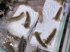 -杭州大厦LSE城市生活超市(杭州大厦店)