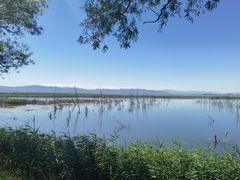 -野鸭湖国家湿地公园