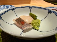 扇贝-鮨鳳